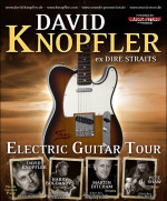 David Knopfler Signature Model von Fame
